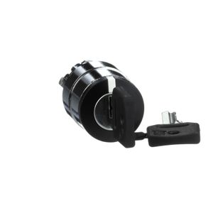 CABEZA SEL. 2POS. C.LLAVE 03210101182 Schneider Electric