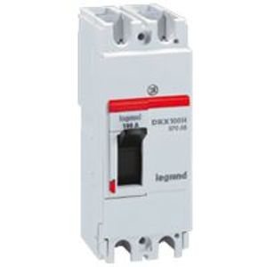 INTERRUPTOR TERMOMAGNETICO FIJO DRX 125 2P, 40A , 36KA  380/415 VAC 046201001 Legrand