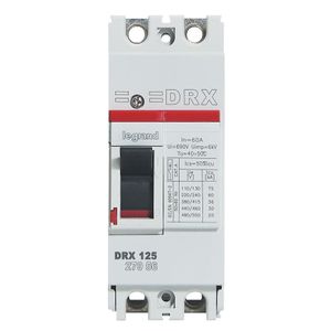 INTERRUPTOR TERMOMAGNETICO FIJO DRX 125 2P, 60A , 36KA  380/415 VAC 027056 Legrand